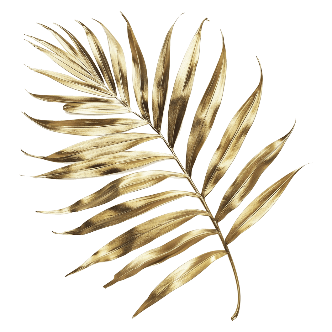 MageeX на сцене